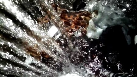 les nuances du lavage