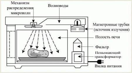 Le principe de fonctionnement du four à micro-ondes